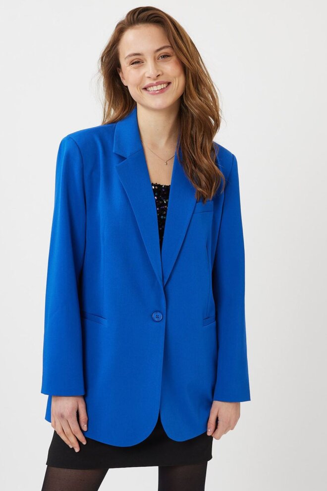 BLAZER DAIZY 3952 SURF THE WEB