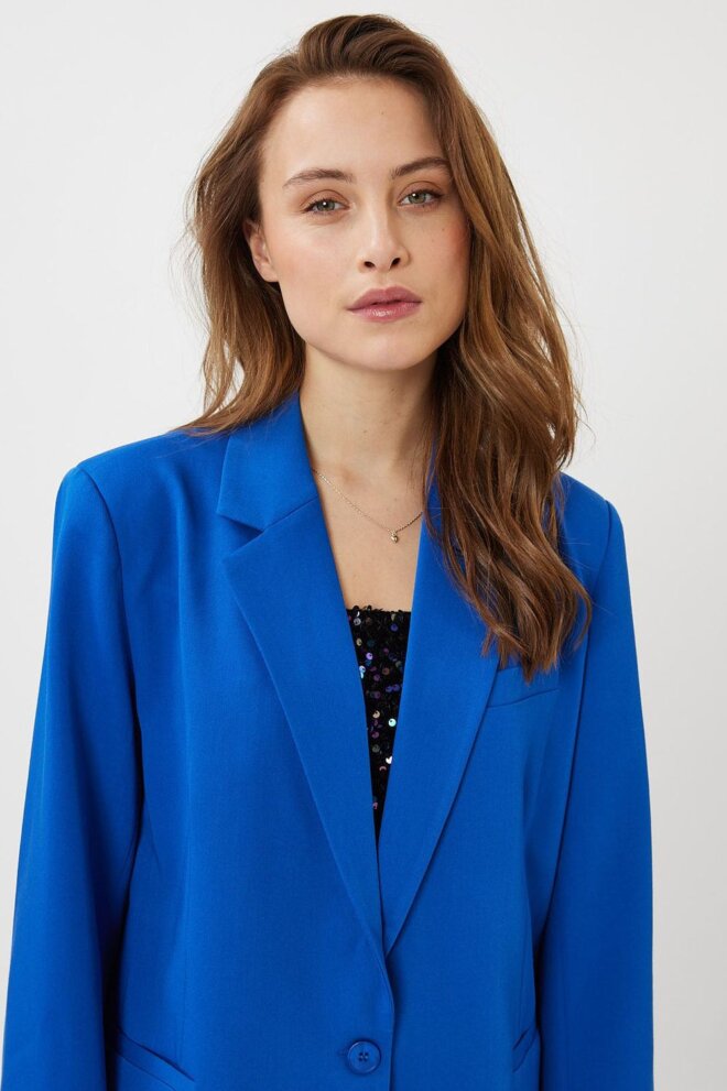 BLAZER DAIZY 3952 SURF THE WEB