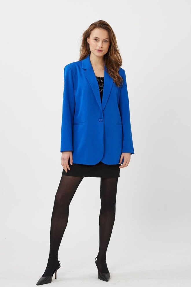 BLAZER DAIZY 3952 SURF THE WEB