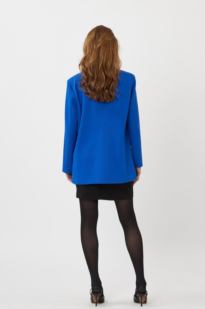 BLAZER DAIZY 3952 SURF THE WEB