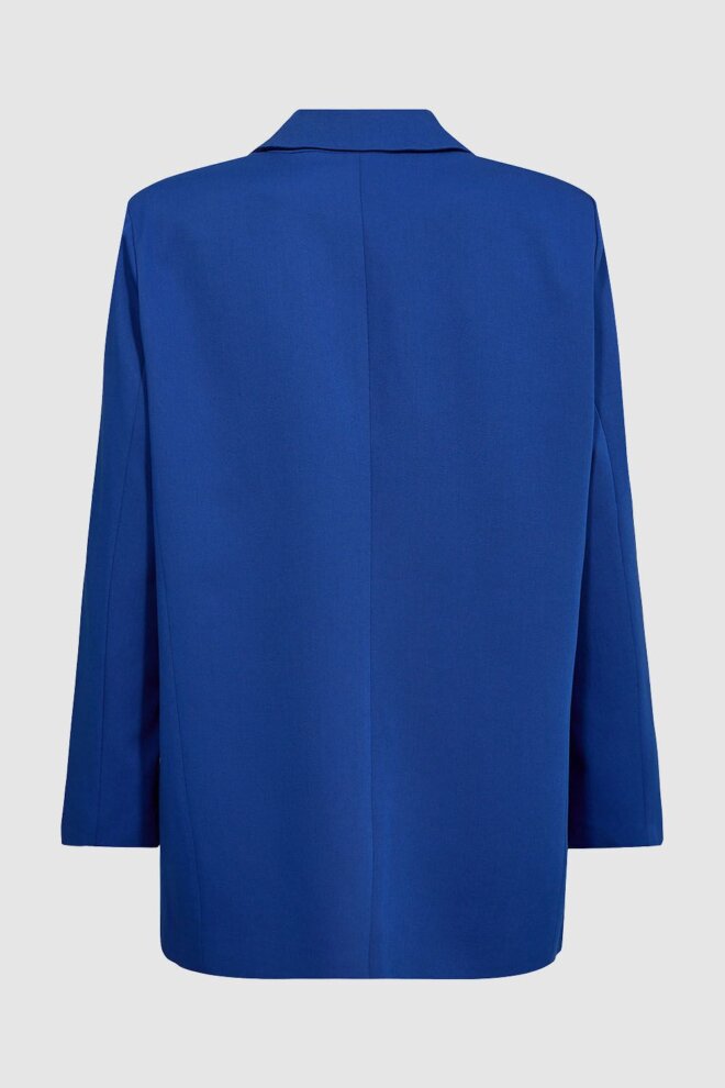 BLAZER DAIZY 3952 SURF THE WEB