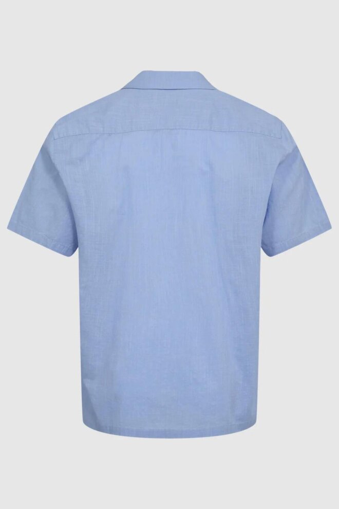 HEMD JOLE 3095 1630 HYDRANGEA