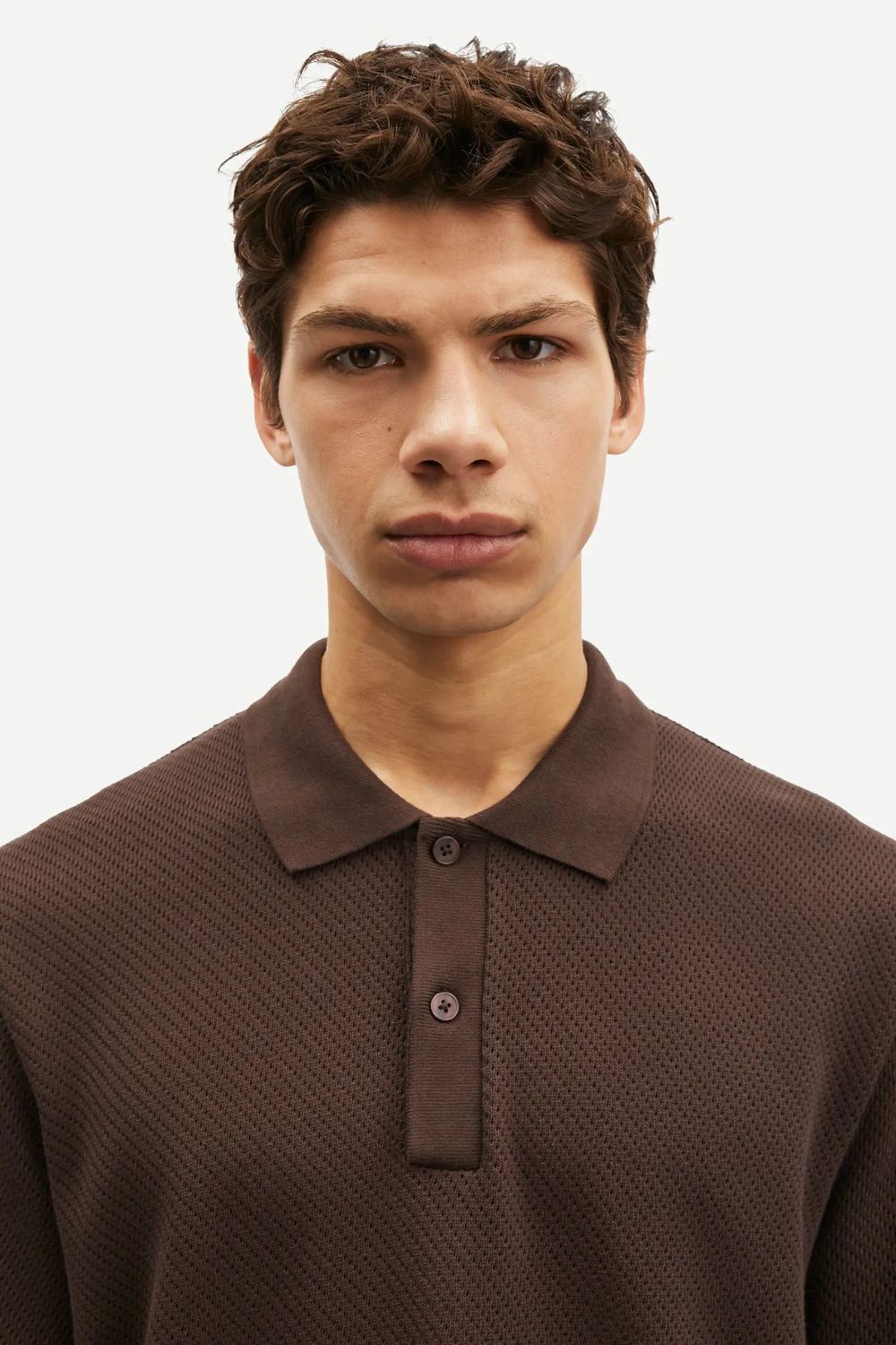 SAJASE POLO 15323 CHOCOLATE TORTE 2.jpeg