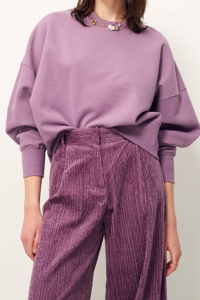 HOSE PASEO STONY VIOLET