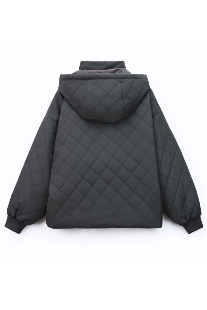 JACKE EMBASSY OF BRICKS AND LOGS