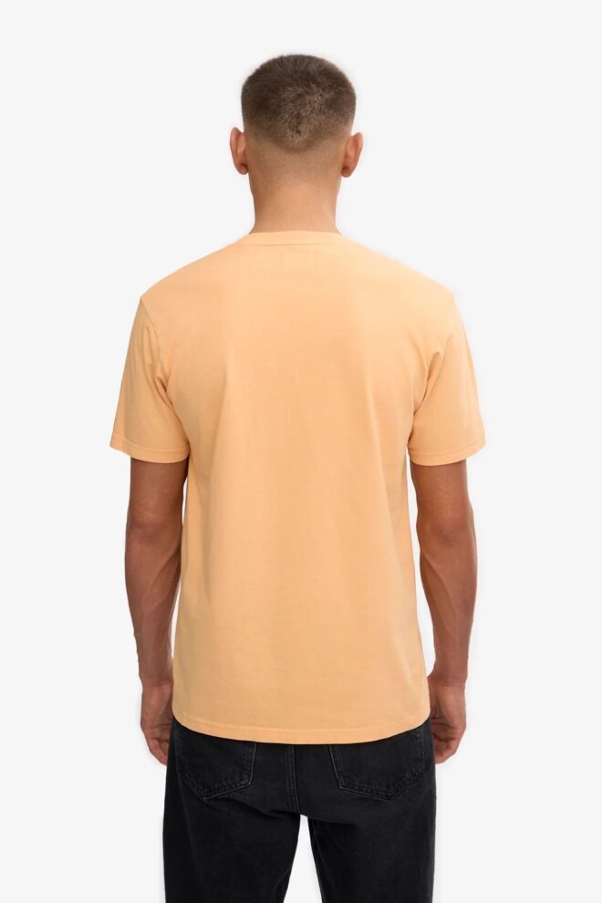 SHIRT CLASSIC ORGANIC TEE SANDSTONE ORA