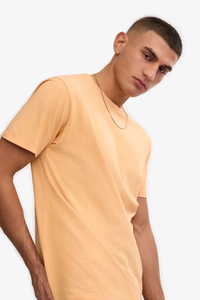 SHIRT CLASSIC ORGANIC TEE SANDSTONE ORA