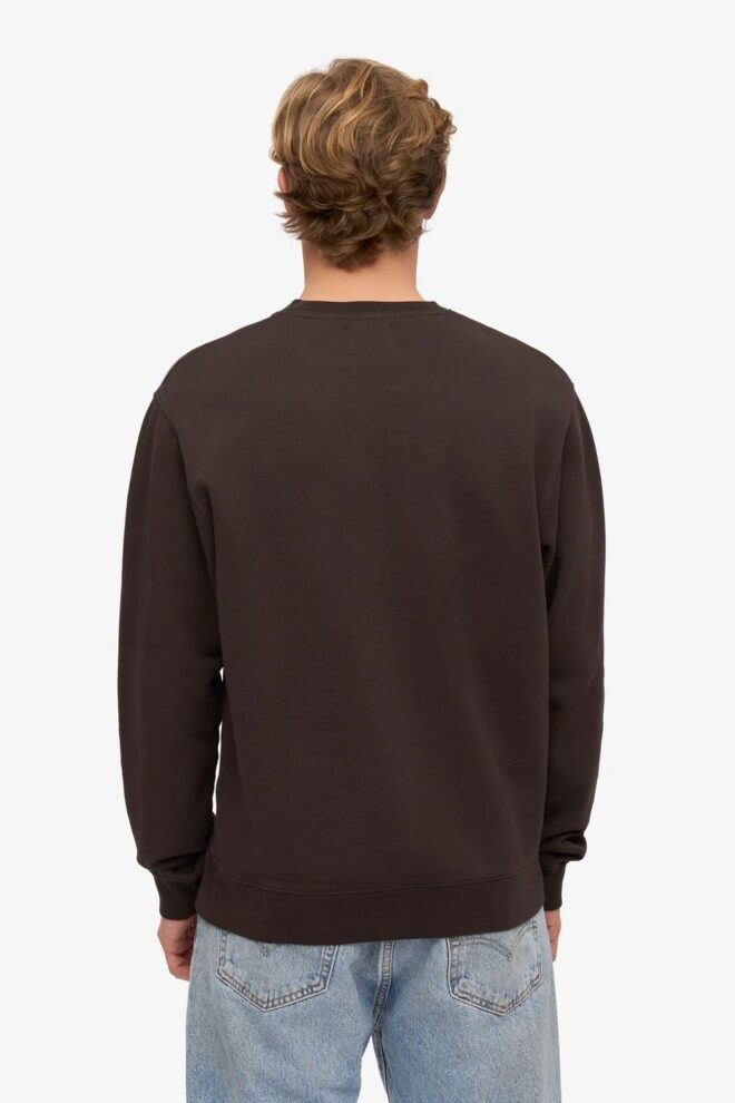 SWEATER CLASSIC ORGANIC CREW COFFEE