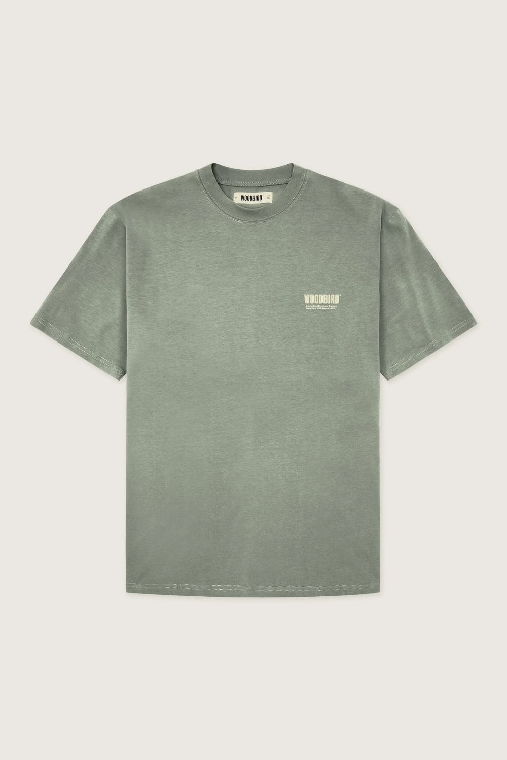 WBBAINE SOYA TEE GREY-GREEN6.png
