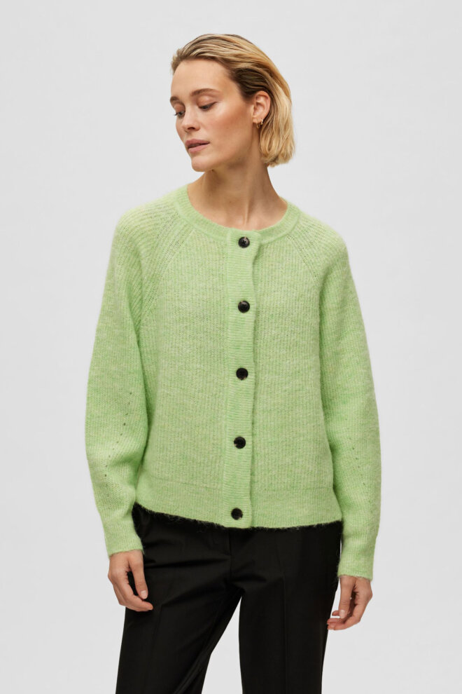 WESTE 16074481 SLFLULU KNIT PISTACHIO
