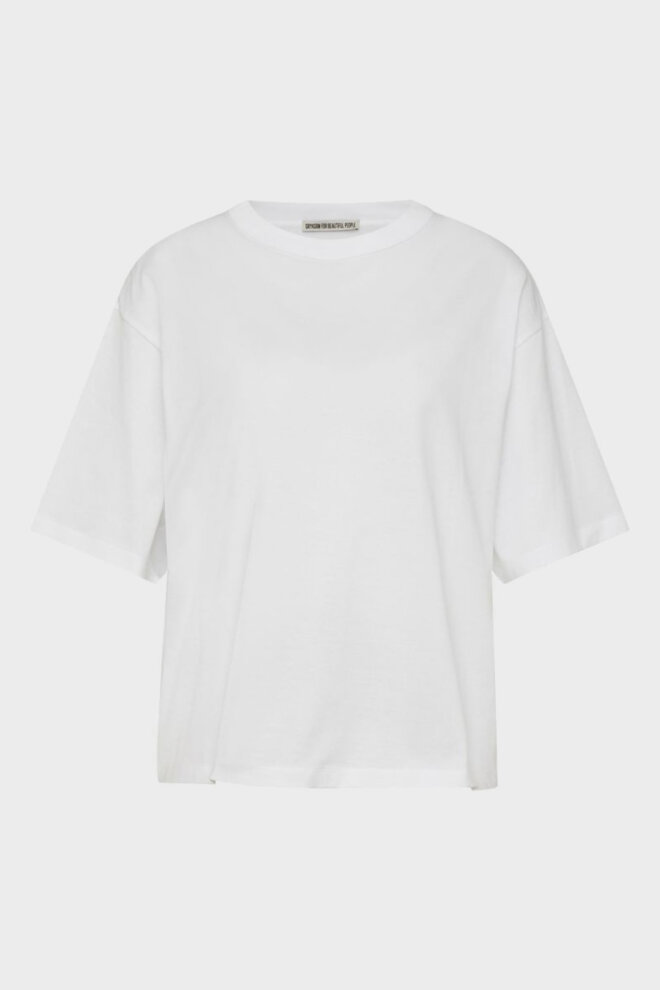 SHIRT 520096 ARETA 6000